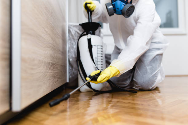 Best Local Pest Control Services  in Zillah, WA