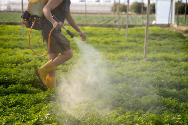 Best Residential Pest Control  in Zillah, WA