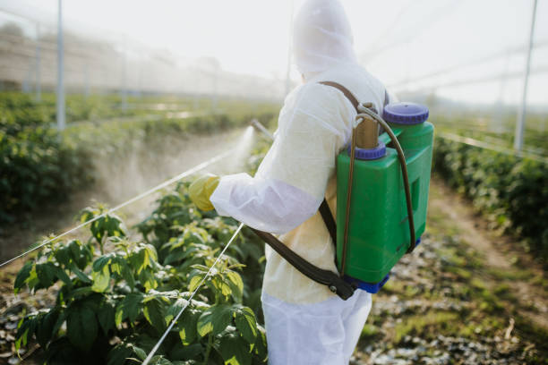 Pest Control Cost in Zillah, WA